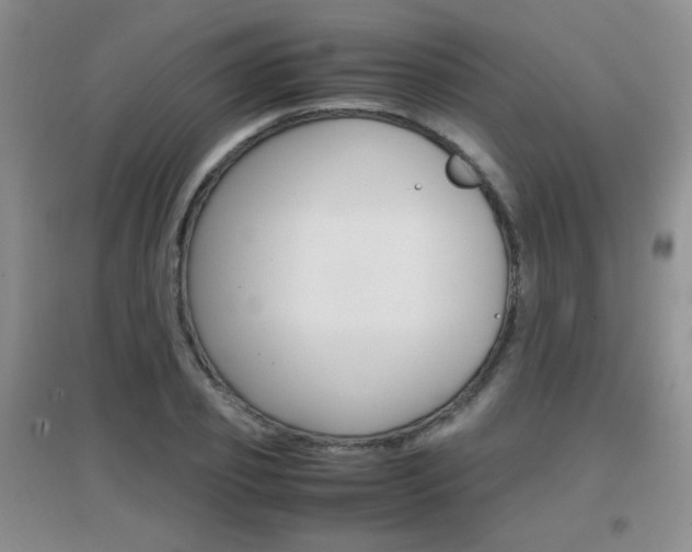 X0000096940933200802080855
