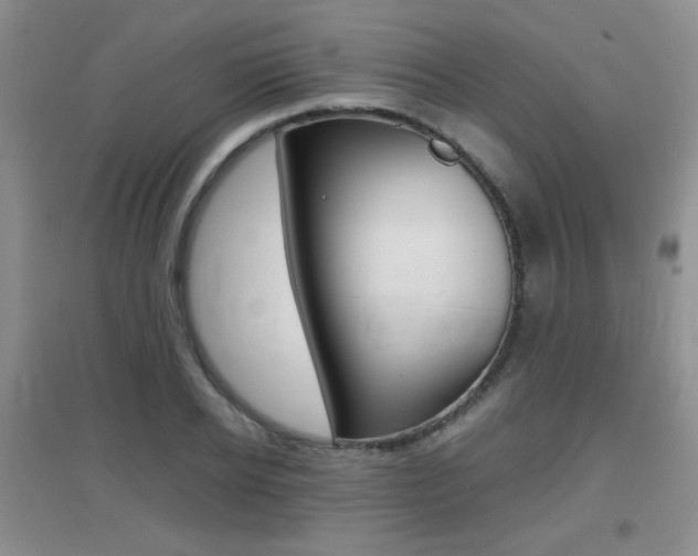 X0000096940934200802080855