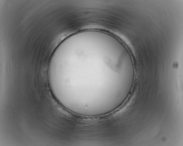 X0000096940937200802080855