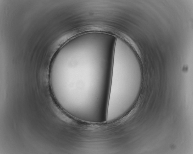 X0000096940938200802080855