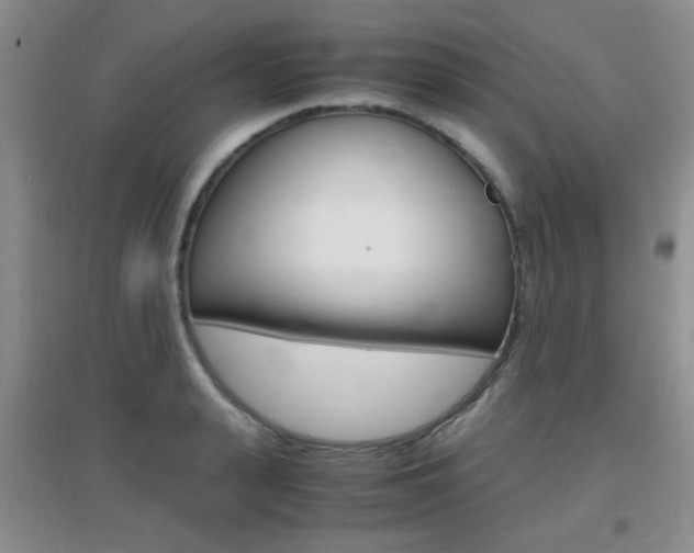 X0000096940943200802080855