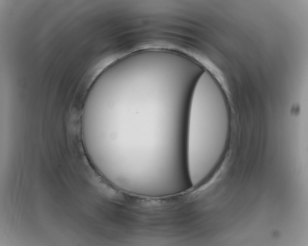 X0000096940945200802080855