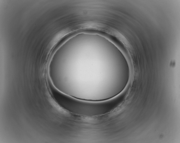 X0000096940946200802080855
