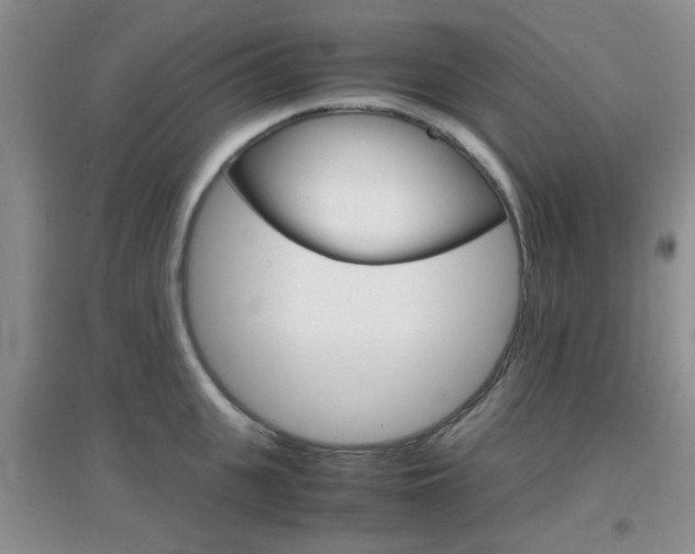 X0000096940951200802080855