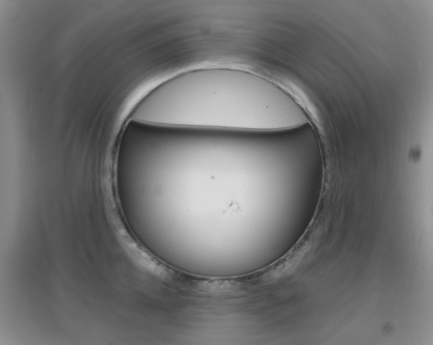 X0000096940952200802080855