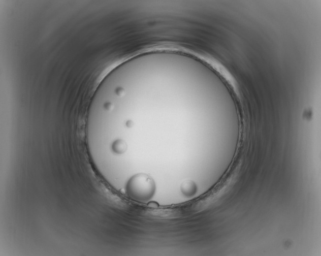 X0000096940953200802080855