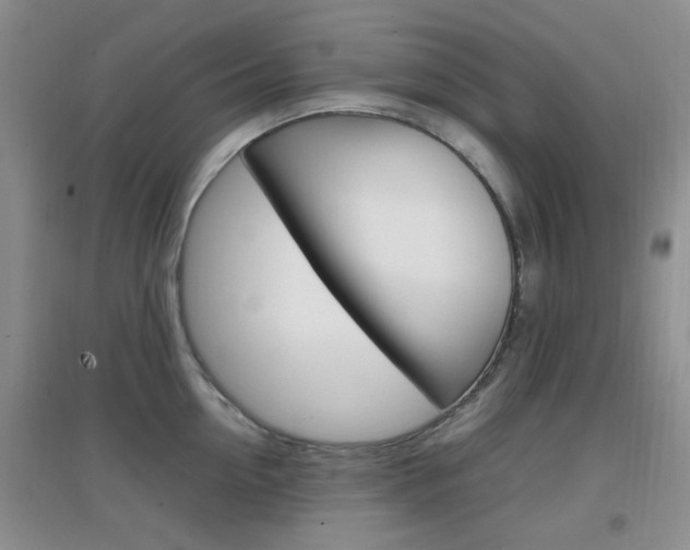 X0000096940954200802080855