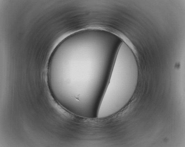 X0000096940955200802080855