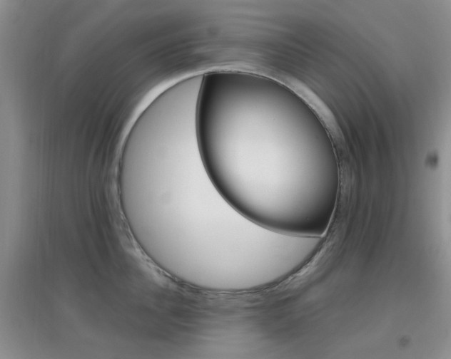 X0000096940956200802080855