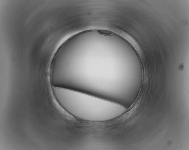 X0000096940958200802080855