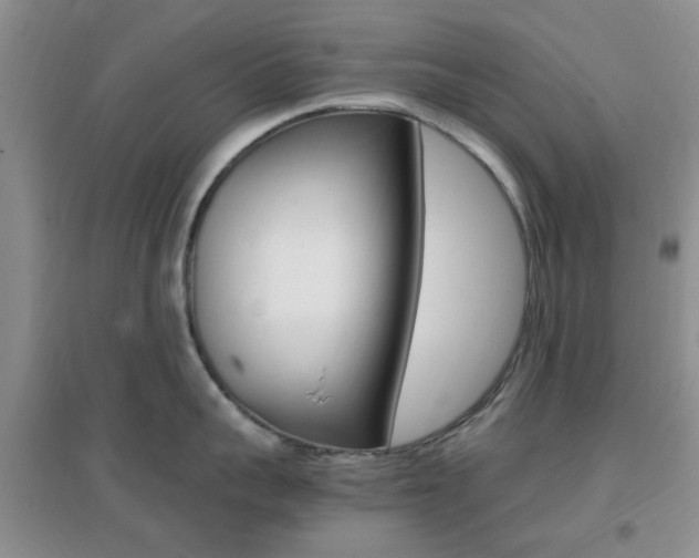 X0000096940959200802080855