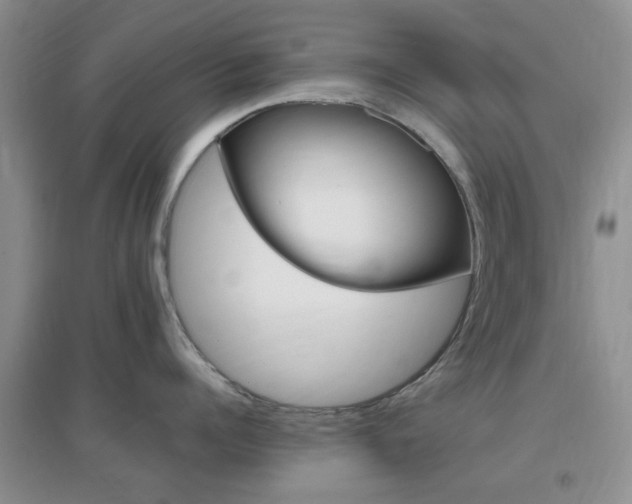 X0000096940960200802080855
