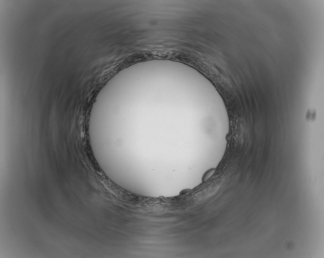 X0000096940962200802080855