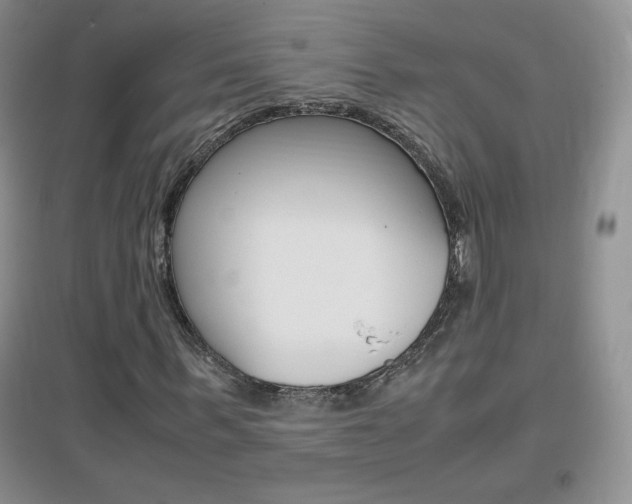 X0000096940963200802080855