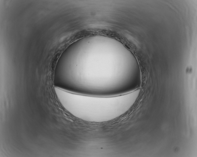 X0000096940965200802080855