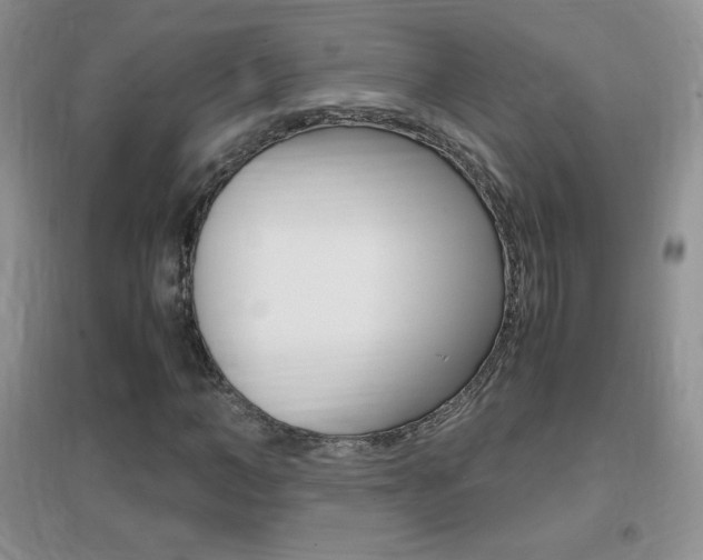 X0000096940966200802080855