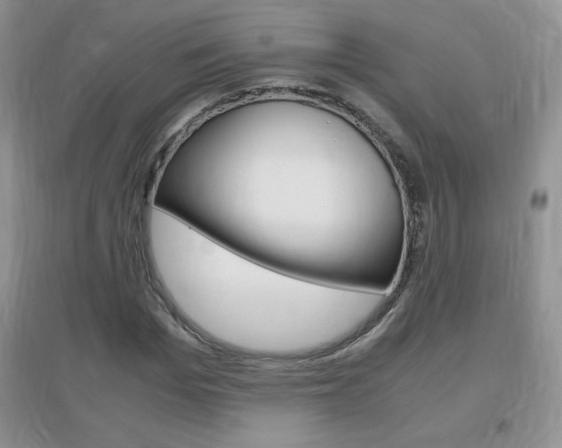 X0000096940969200802080855