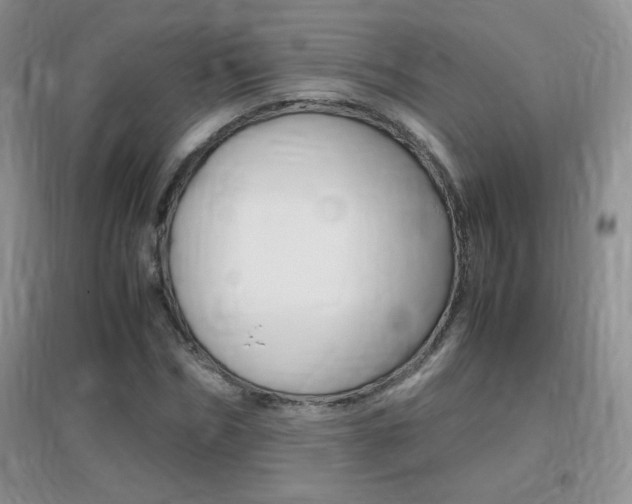 X0000096940970200802080855