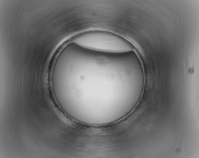 X0000096940976200802080855