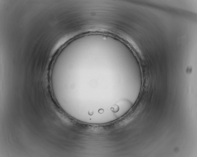 X0000096940978200802080854
