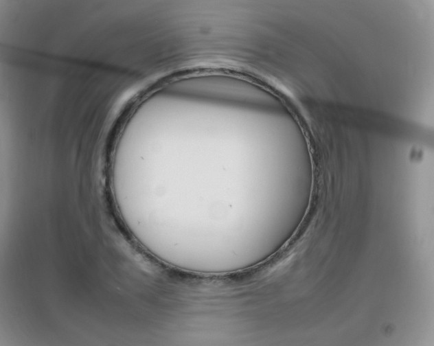 X0000096940979200802080854