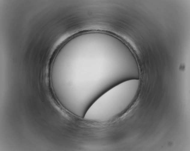 X0000096940982200802080854