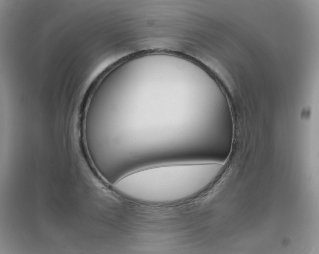 X0000096940983200802080854