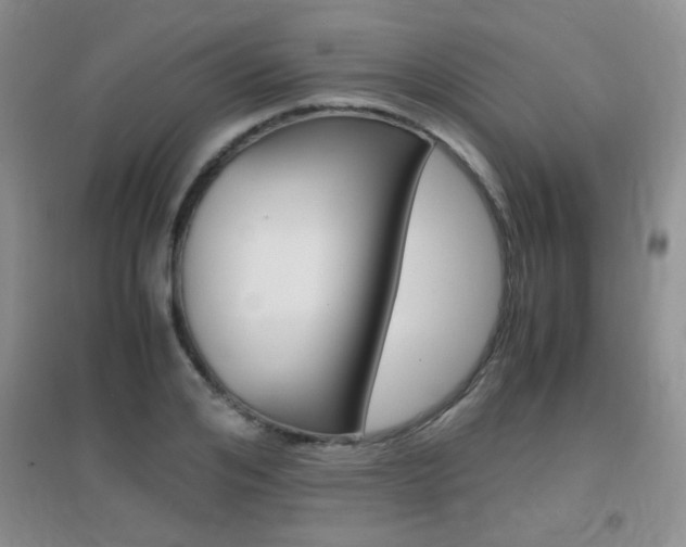 X0000096940984200802080854