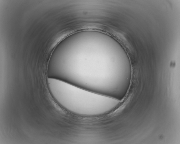 X0000096940985200802080854