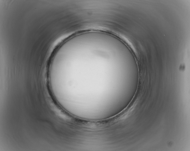 X0000096940987200802080854