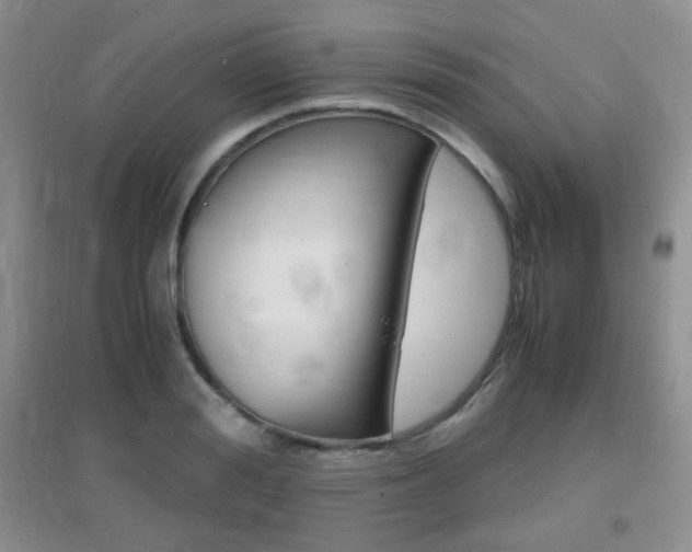 X0000096940988200802080854