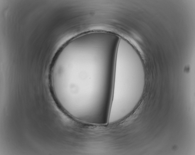 X0000096940991200802080854