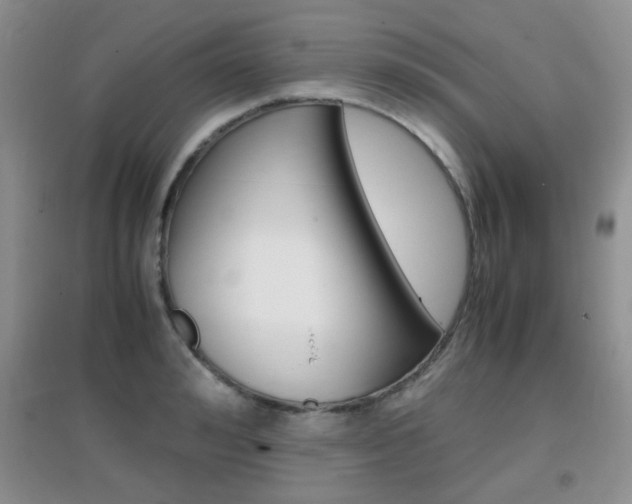 X0000096940992200802080854