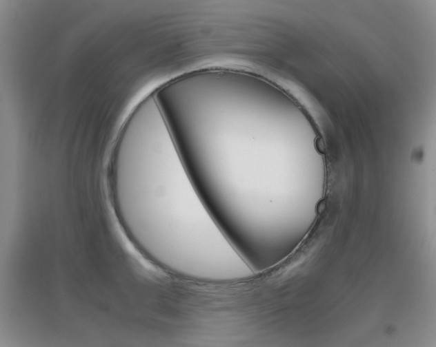 X0000096940999200802080854