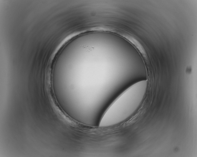 X0000096941000200802080854
