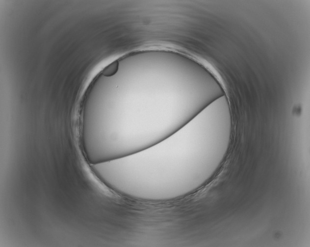 X0000096941003200802080854