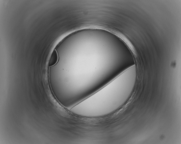 X0000096941004200802080854