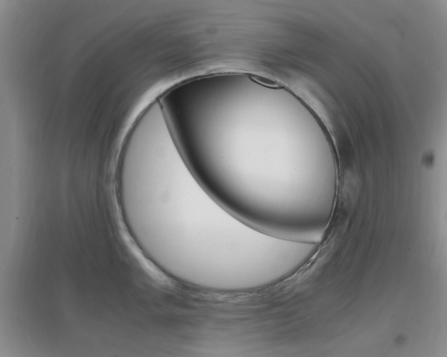 X0000096941005200802080854