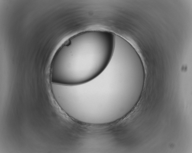 X0000096941008200802080854