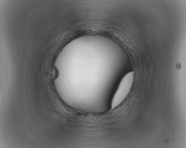 X0000096941009200802080853