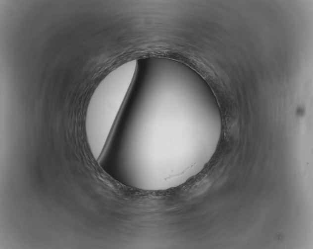 X0000096941010200802080853