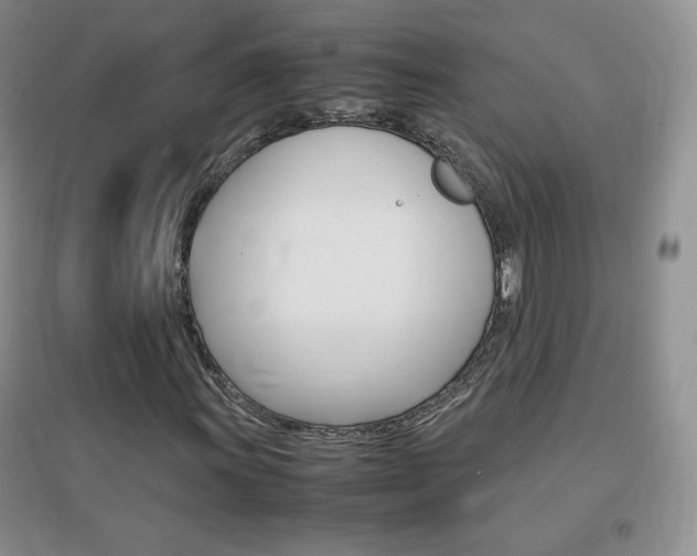 X0000096941011200802080853