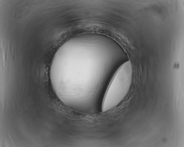 X0000096941013200802080853