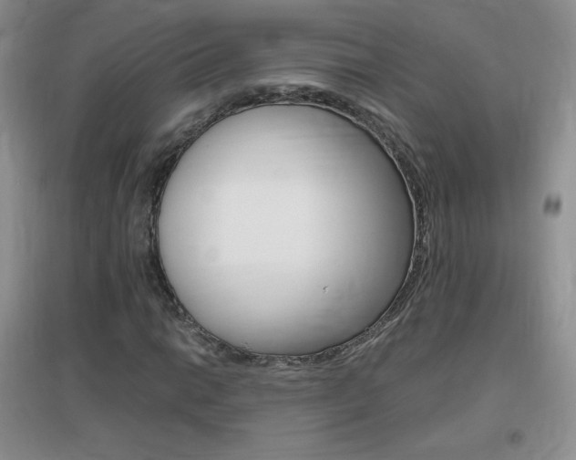 X0000096941014200802080853