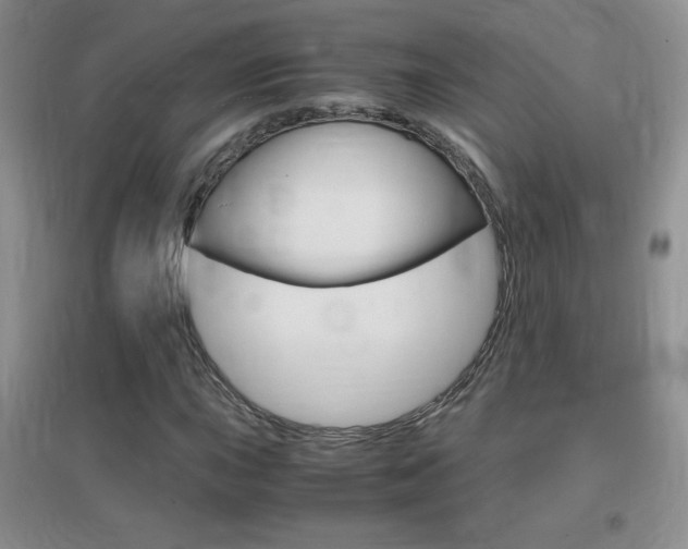X0000096941015200802080853