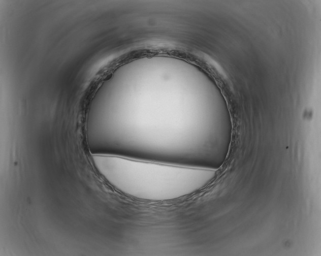 X0000096941016200802080854