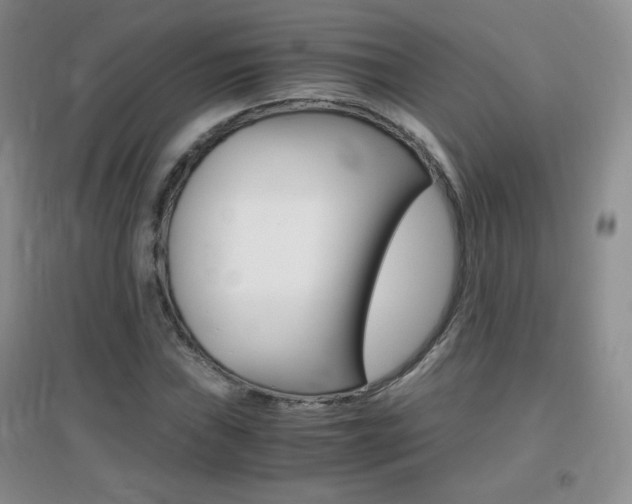 X0000096941019200802080854