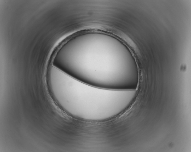 X0000096941020200802080854