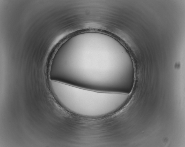 X0000096941022200802080854