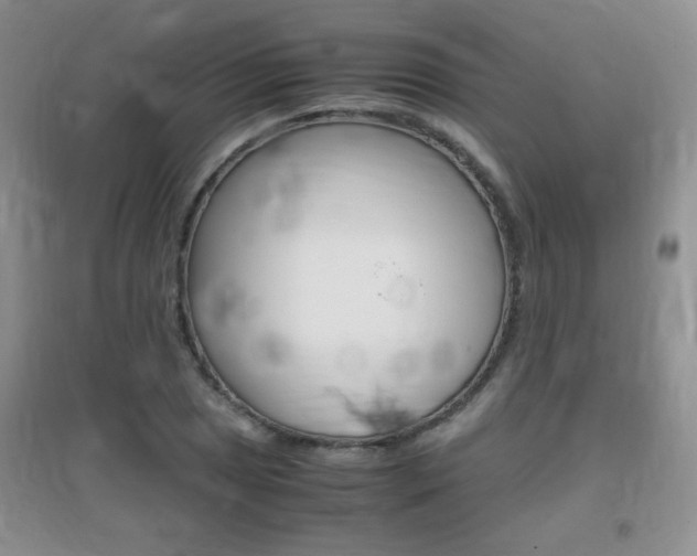 X0000096941025200802080854